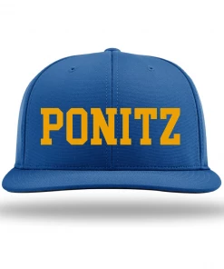 Richardson Hats Ponitz Panthers Flex-Fit Hat