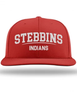 Richardson Hats Stebbins Indians Flex-Fit Hat