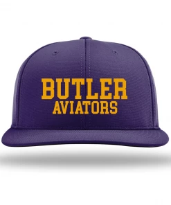 Richardson Butler Aviators Flex-Fit Hat Hats